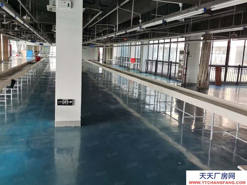 (出租) 合肥 肥東開發區標準框架一樓廠房11元出租,