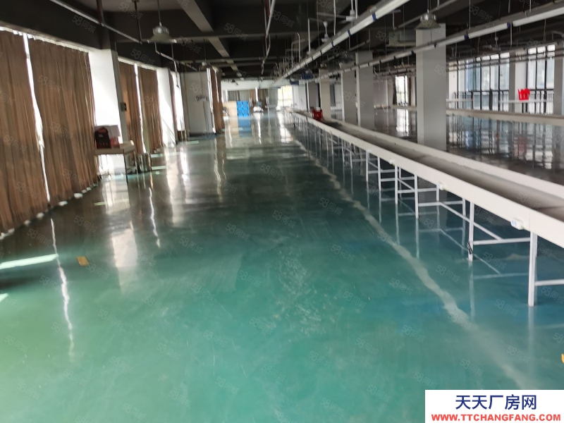 (出租) 合肥 肥東開發區標準框架一樓廠房11元出租，