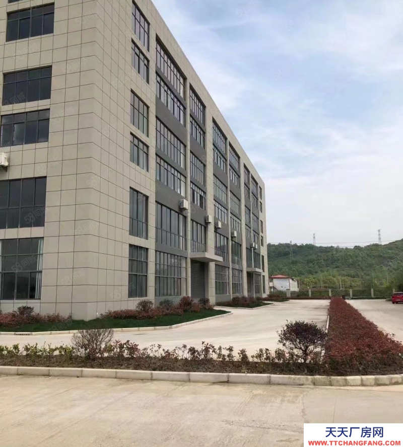 (出租) 合肥 肥東東部新中心單層鋼構廠房對外出租 周邊配套齊全