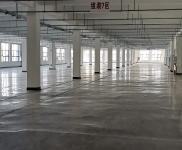 (出租)宜昌點軍 1600平米單層廠房出租，空地大，價格便宜