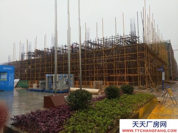 株洲市天元區(qū)磚混獨(dú)棟2層半,一樓層高8.1米,送露臺300平,可定制化