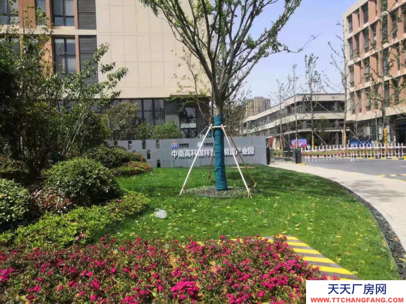 (出售) 中南高科肥東產(chǎn)業(yè)園 8米層高 三成首付 有產(chǎn)證