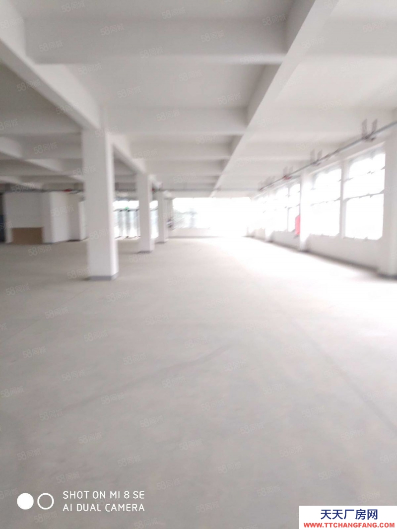 (出售) 合肥 肥西框架廠房4萬(wàn)方占地30畝