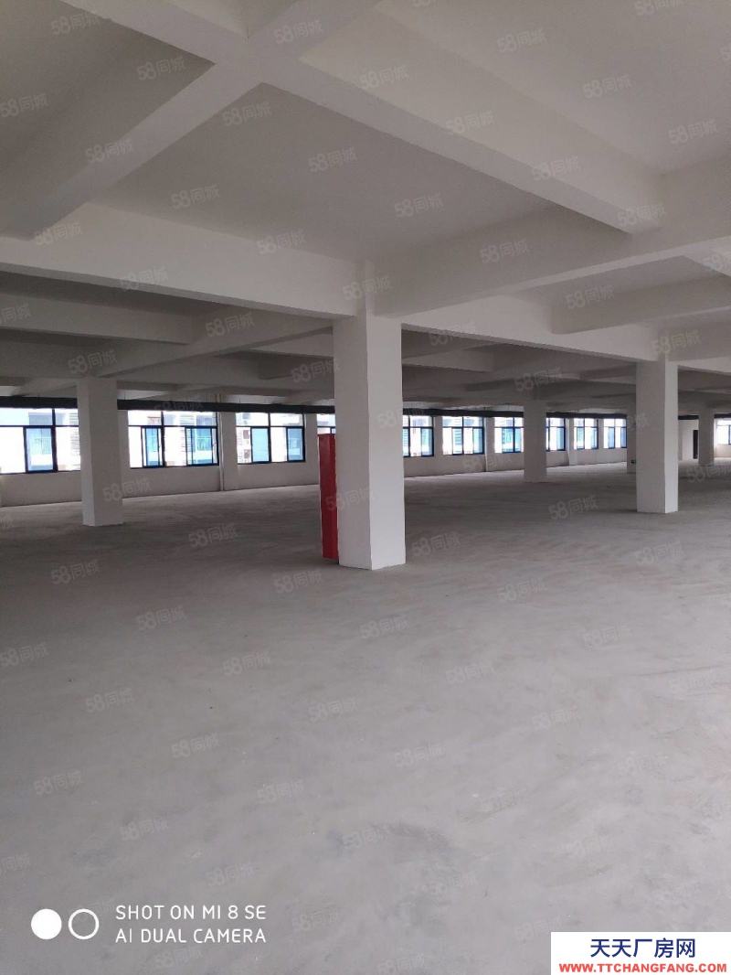 (出售) 合肥 肥西框架廠房4萬方占地30畝