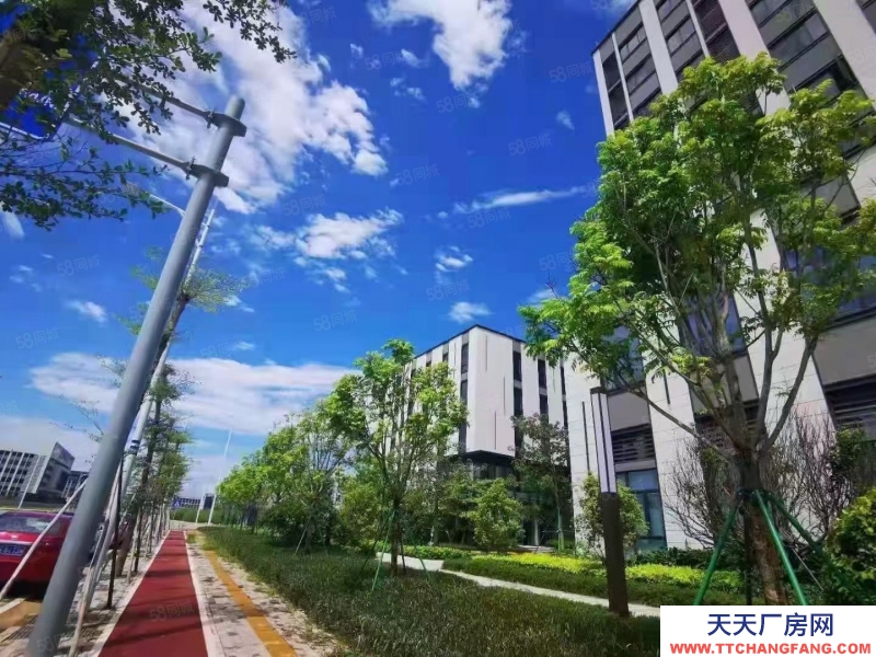 (出售) 合肥 肥西10年租金換獨棟！高端制造產業聚集！品質園區！低首付！