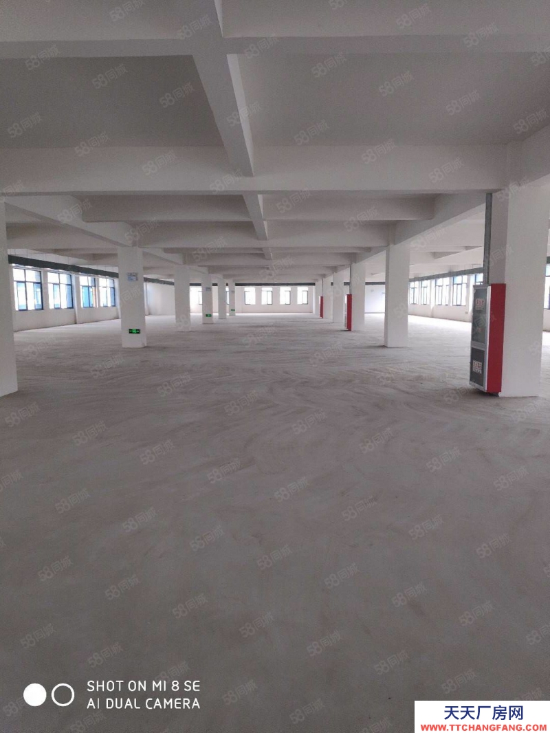 (出租)合肥  肥西單層2500平總面積8000平600平起租