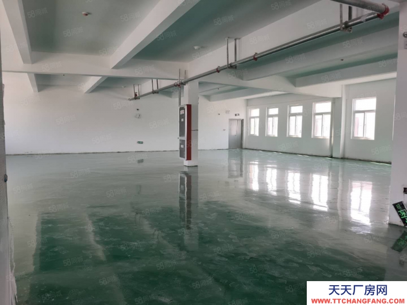 (出租) 合肥 肥西華南城框架二樓出租