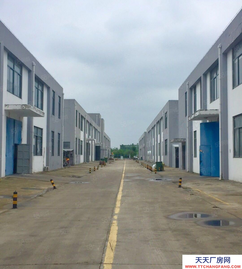 (出租) 合肥 肥西 房東直租，桃花標(biāo)準(zhǔn)框架廠(chǎng)房，1樓已空可分租