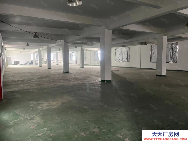 (出租) 合肥 肥西 房東直租，桃花標(biāo)準(zhǔn)框架廠(chǎng)房，1樓已空可分租