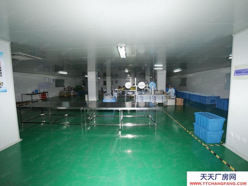 (出租) 合肥 肥西 房東直租，桃花標(biāo)準(zhǔn)框架廠(chǎng)房，1樓已空可分租