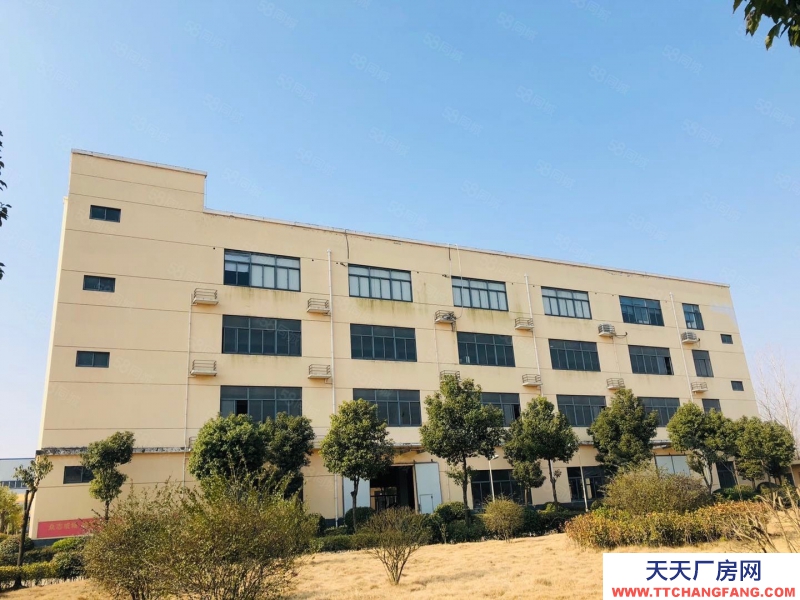 (出租) 合肥 肥西森林大道旁獨棟廠房出租，價格優惠