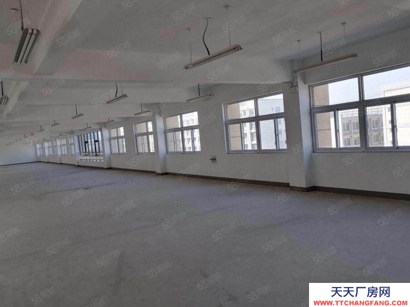 (出租) 合肥 肥西森林大道旁獨棟廠房出租,價格優惠