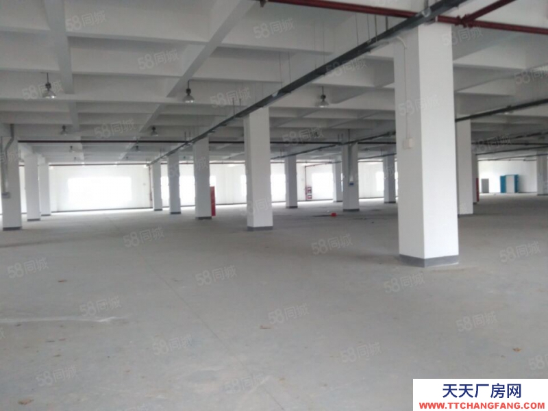 (出租) 合肥 肥西500平米至5000平米框架結(jié)構(gòu)