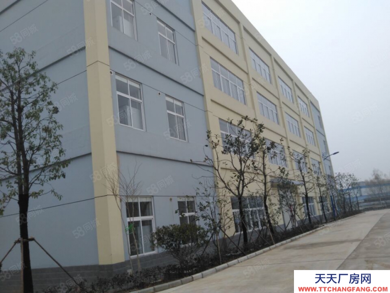 (出租) 合肥 肥西500平米至5000平米框架結構