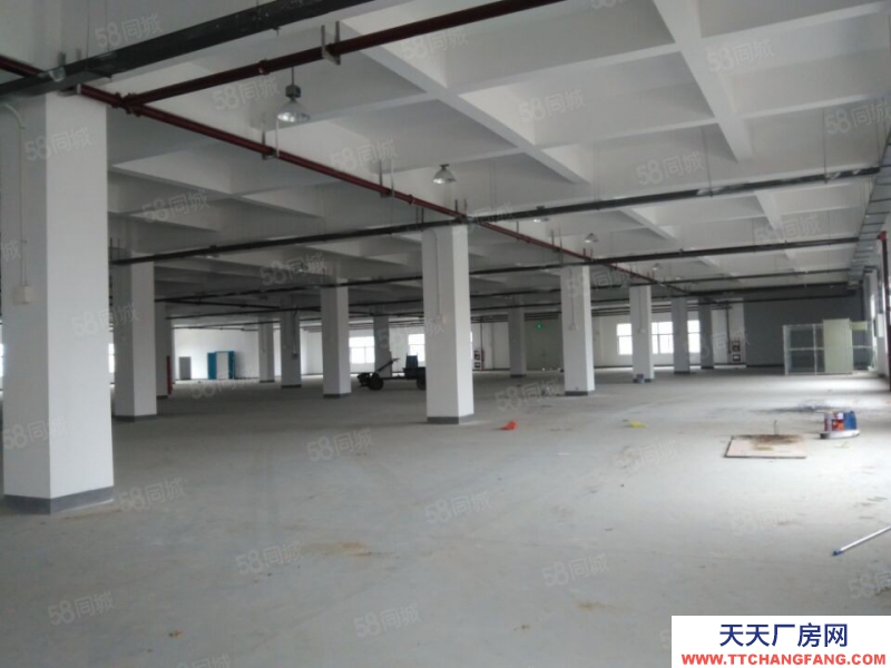 (出租) 合肥 肥西500平米至5000平米框架結構