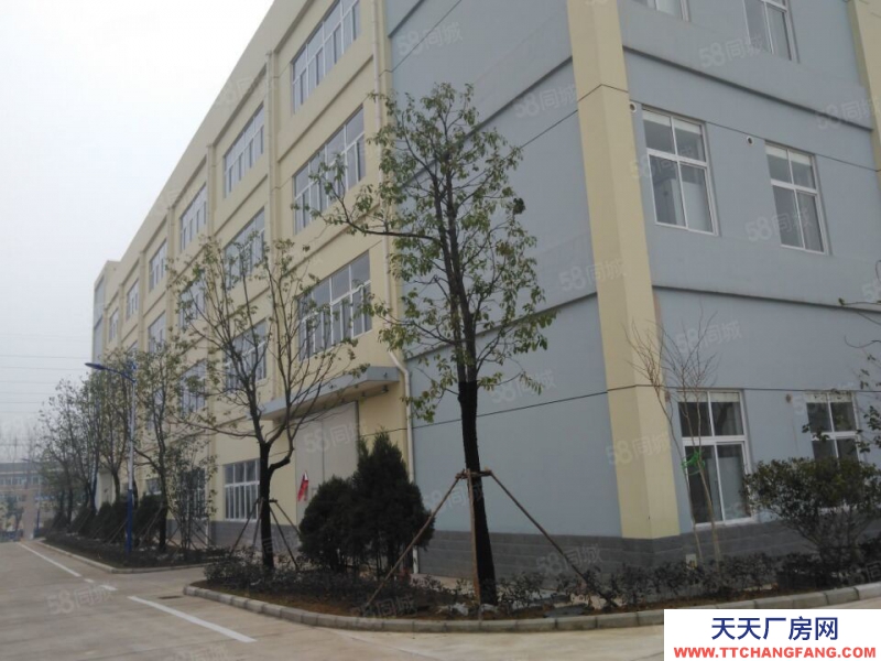 (出租) 合肥 肥西500平米至5000平米框架結構