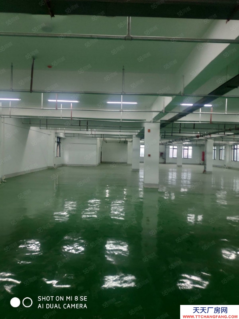 (出租) 合肥 肥西華南城單層廠房倉庫5000平有貨梯可分割租賃500平起