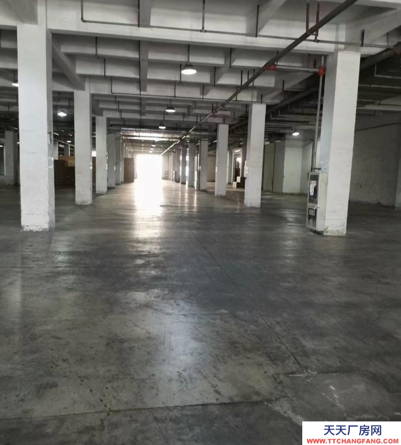 (出租) 出合肥 肥西肥西周邊,冷鏈倉儲