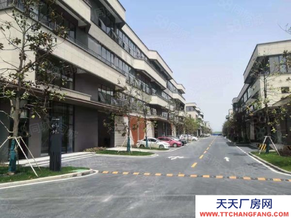 (出租) （蕪湖 鳩江全新廠房出租出售，首層8.1米，環境好，好招工