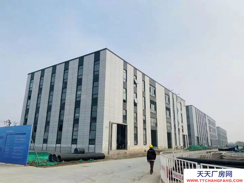 (出租) （蕪湖 鳩江全新廠房出租出售，首層8.1米，環境好，好招工