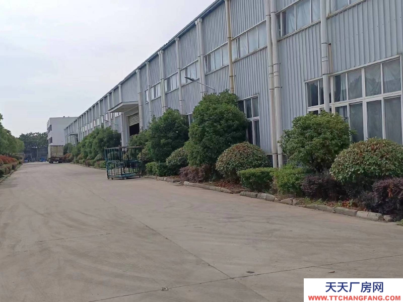 (出租) 蕪湖 鳩江區(qū)28800平獨(dú)棟廠(chǎng)房,可整租分租,水電齊全有行車(chē)