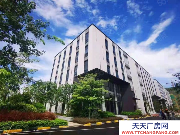 (出售) 蕪湖 鳩江區(qū)蕪湖東高速旁邊,全新廠房出租出售,800平起