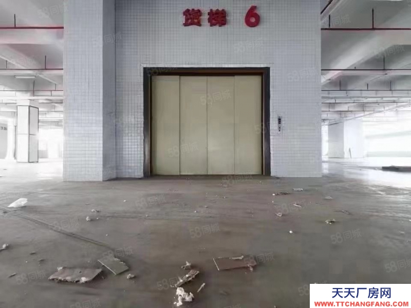 (出租) 深圳南山西麗獨院鋼混倉庫8000平可自由分割適合倉儲物流冷庫辦公