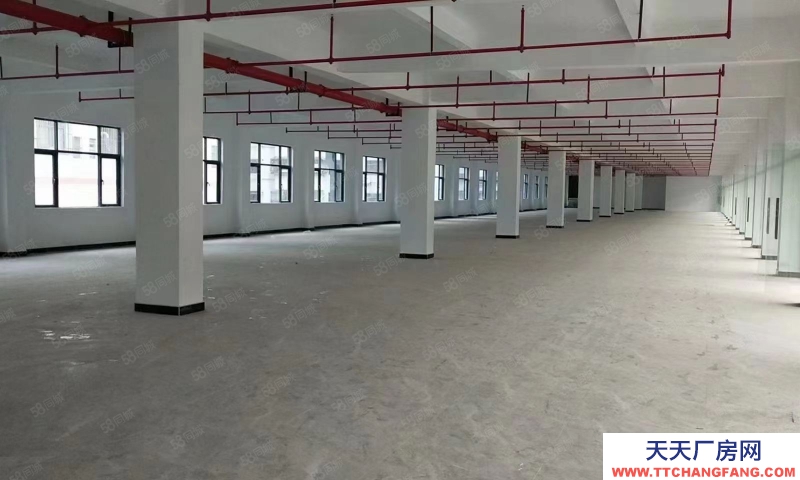 (出租) 深圳寶安獨門獨院福永廠房辦公室電商倉庫800平至3000一二樓帶裝修