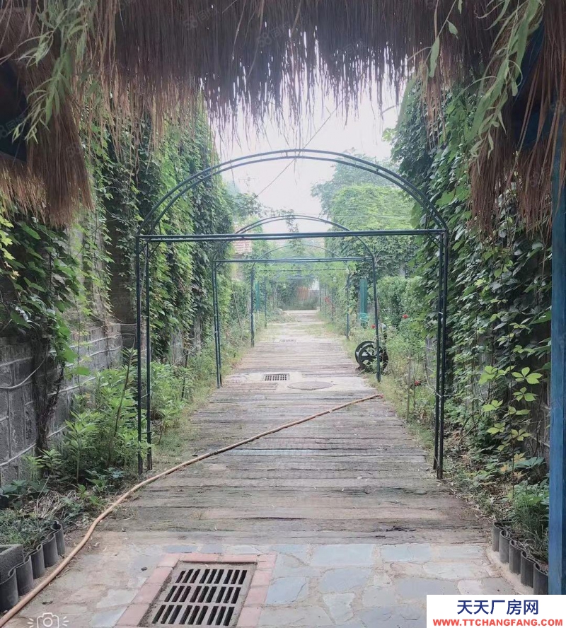 淄博周村文昌湖度假區附近莊園出租，適合多種經營