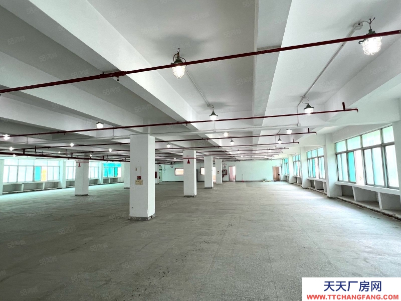 (出租) 深圳鹽田房東直租，沙頭角電商基地10棟5樓整層2100平出租