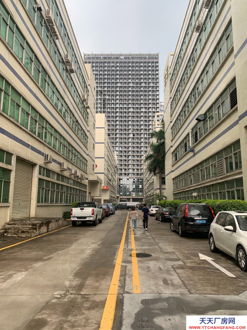 (出租) 深圳龍崗 聯創科技園 開發商直租 治安好 保安全天巡邏