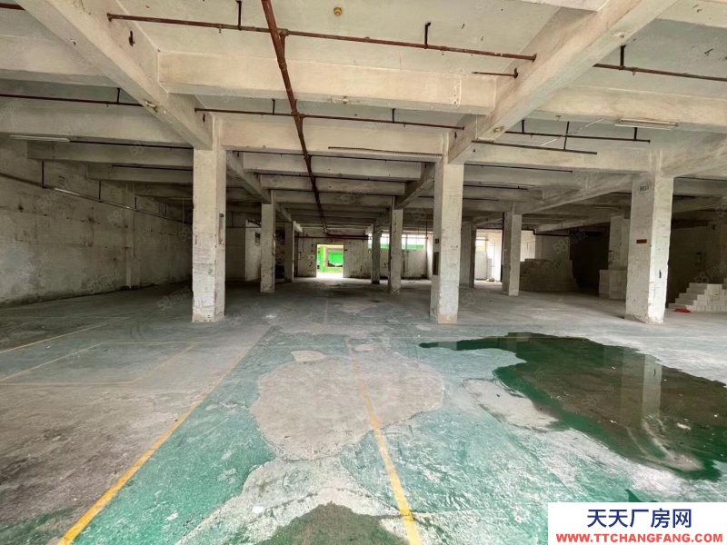 (出租) 深圳羅湖清水河廠房1500平200平起分租
