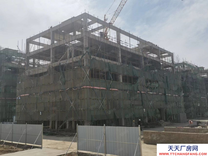 保定 定興 園區(qū)獨(dú)棟 廠房庫(kù)房 展廳辦公 食品可落 贈(zèng)一層面積