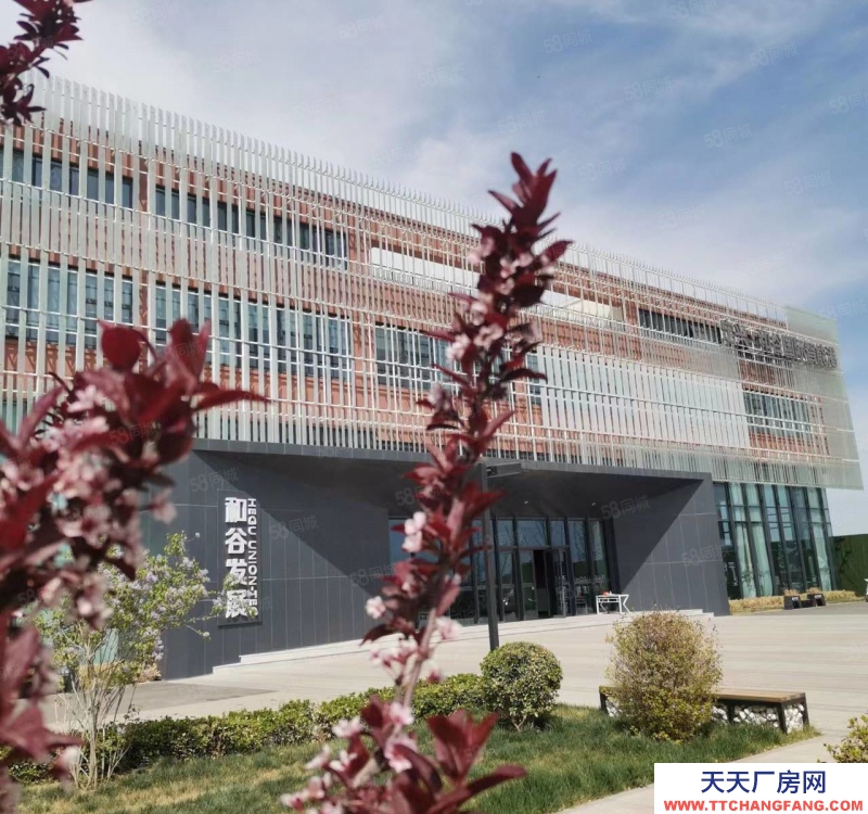 保定 定興 園區(qū)獨(dú)棟 廠房庫(kù)房 展廳辦公 食品可落 贈(zèng)一層面積