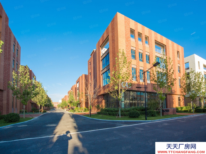 保定  定興 廠房庫房 企業獨棟 食品園區 50年產權 800平起