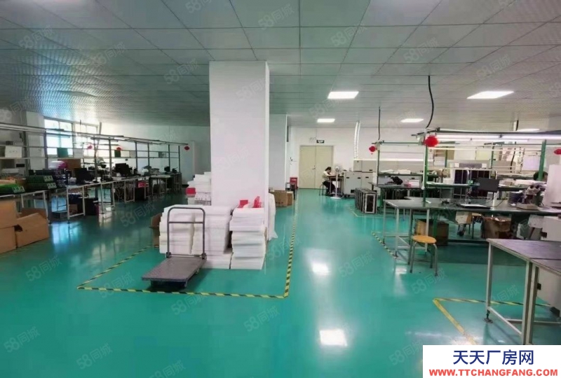 (出租) 深圳南山低價精裝800平廠房出租高新辦公研發貿易倉庫工業園