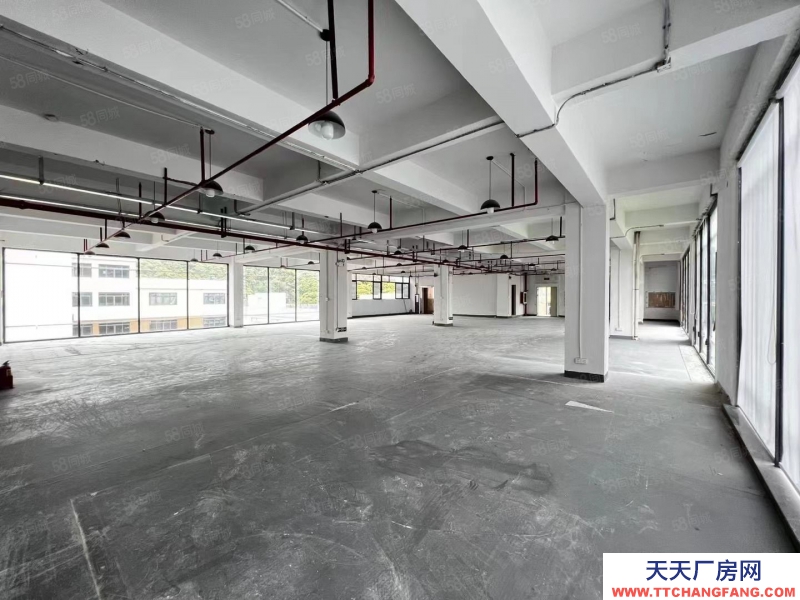 (出租) 深圳南山西麗地鐵口1000平每層可分帶卸貨平臺原房東無公攤