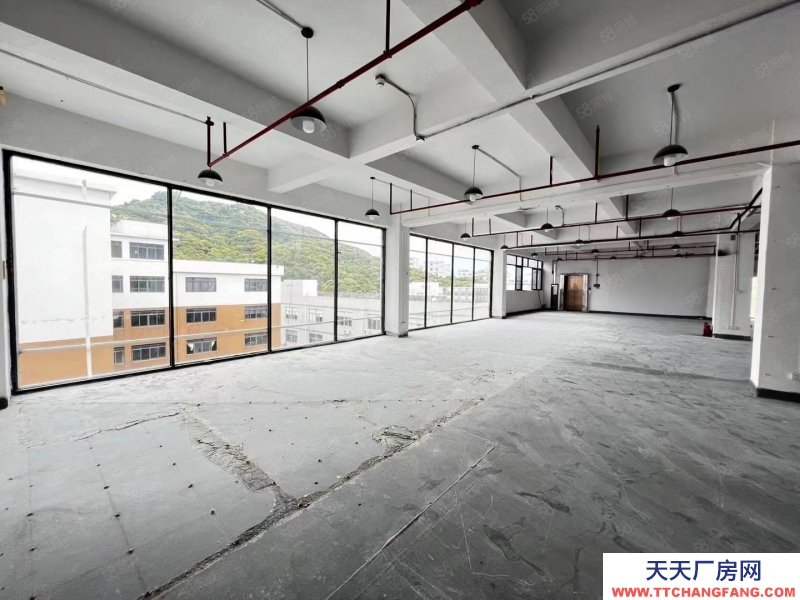 (出租) 深圳南山西麗地鐵口1000平每層可分帶卸貨平臺原房東無公攤