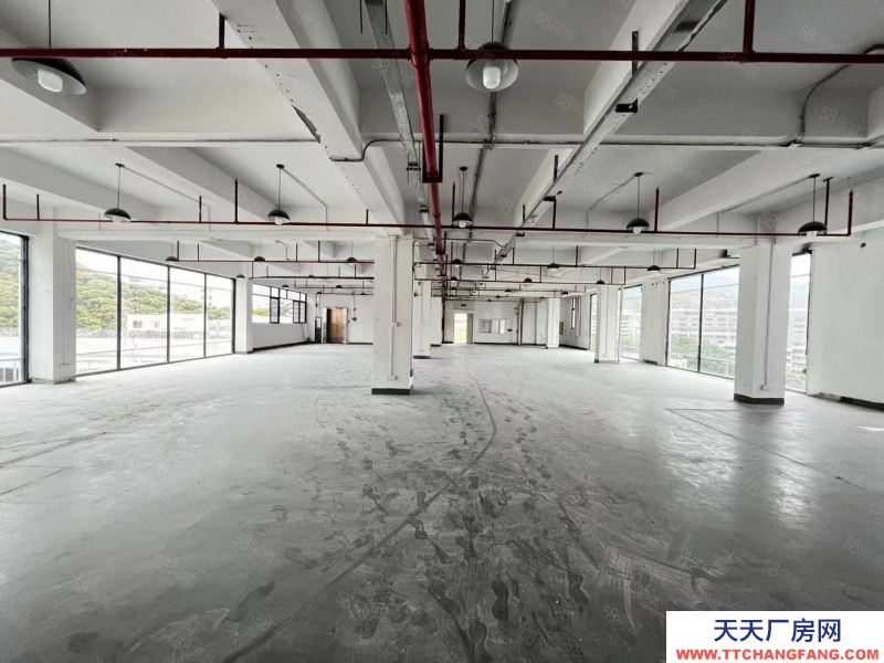 (出租) 深圳南山西麗地鐵口1000平每層可分帶卸貨平臺原房東無公攤