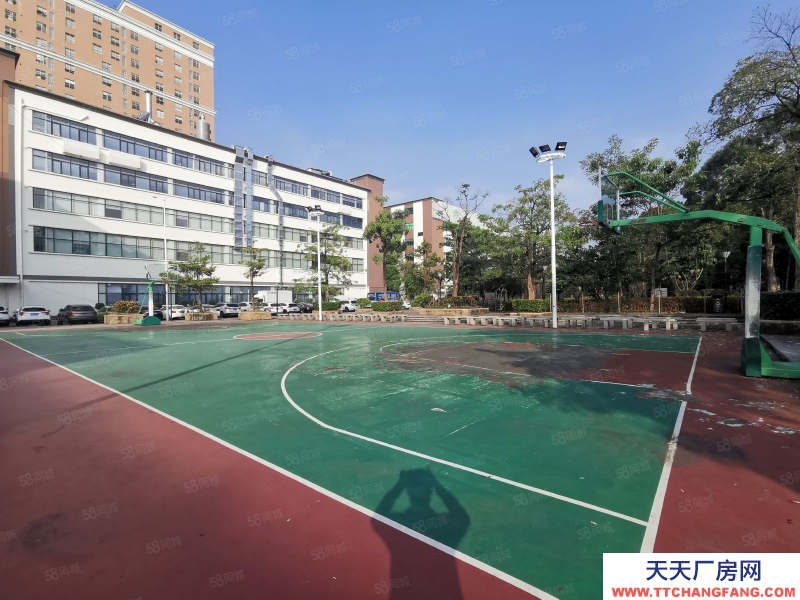 (出租) 深圳福田龍華高新科創(chuàng)園整棟19000平可申請租金補(bǔ)貼有紅本現(xiàn)低價放租