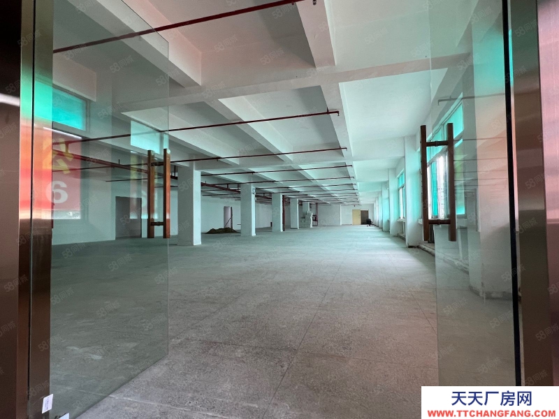 (出租) 深圳鹽田業主直租，海山地鐵口精裝修550平廠房出租