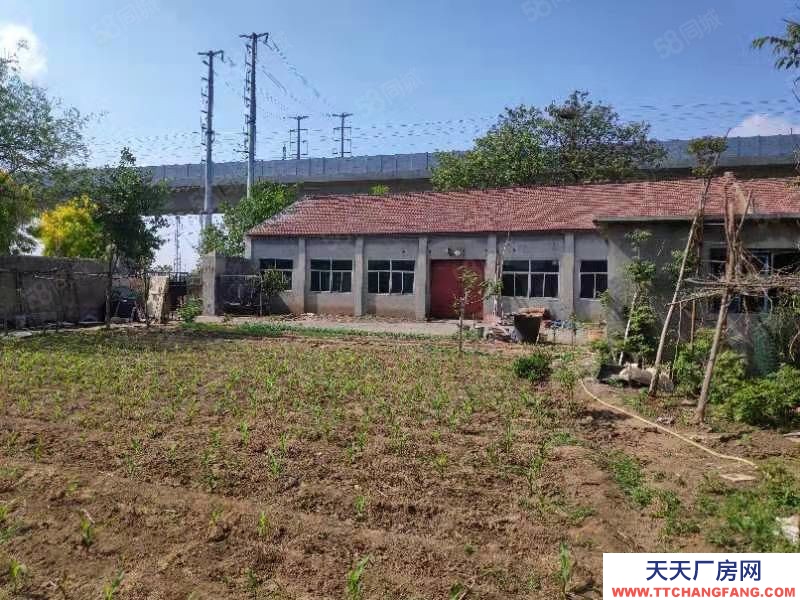 淄博桓臺原山大道周家鎮廠房帶院出租