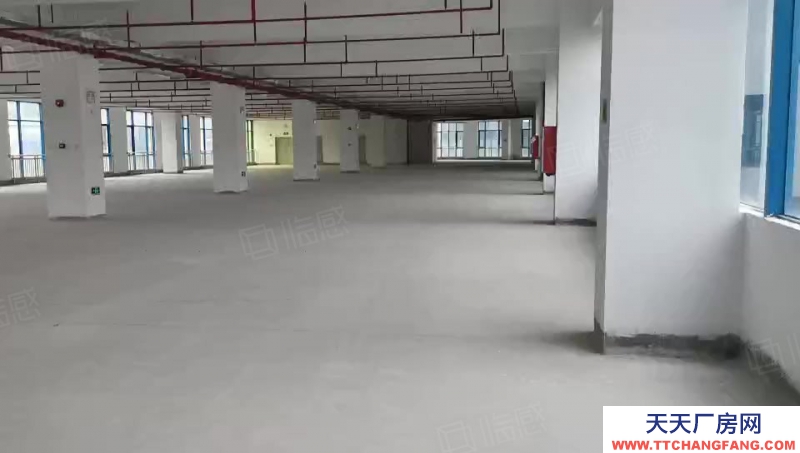 (出租) 深圳龍崗板雪崗大道2000平樓上廠房出租報價22元一平形象好