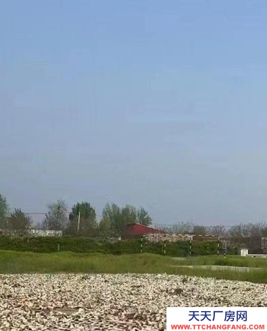 保定 望都第三中學附近107國道77畝，一層建筑6000平。出租