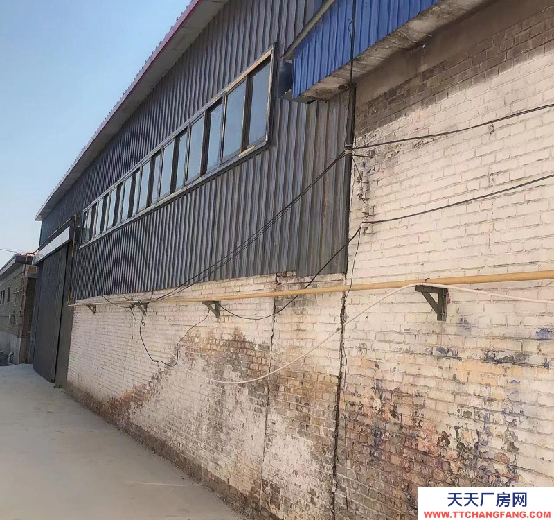 保定 望都  550平米庫房，加200平辦公室，交通方便，獨立的