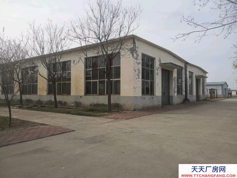 保定 望都 可整體出租，分租或轉讓