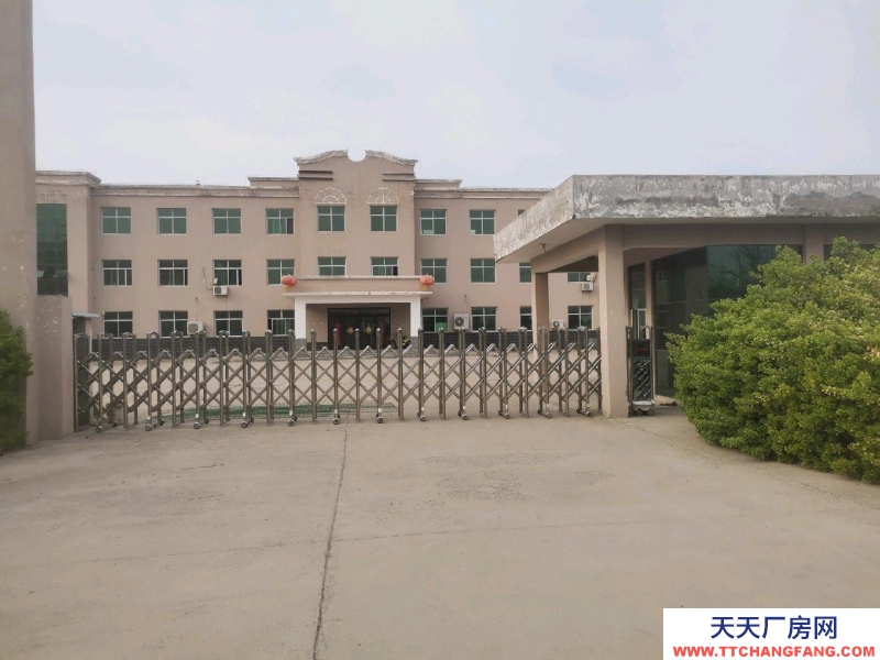 保定 望都 可整體出租，分租或轉讓