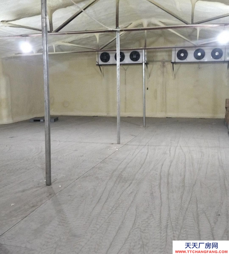 保定 望都 冷庫，保鮮庫，配備叉車，