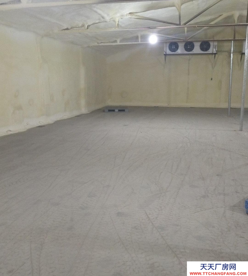 保定 望都 冷庫，保鮮庫，配備叉車，