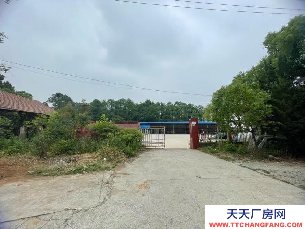 南京市高淳區(qū)林場倉庫，租金實惠